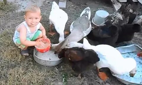 Видео приколы малышами