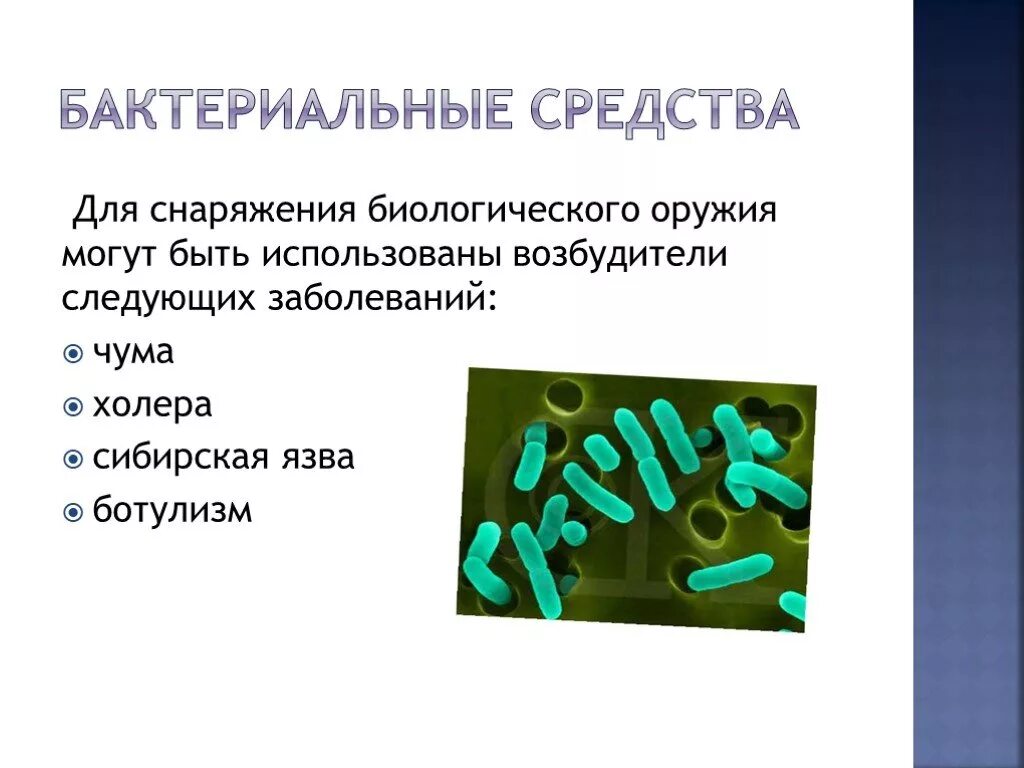 Бактериальные средства. Бактериальные средства биологического оружия. Биологические микроорганизмы. Бактерии возбудители заболеваний.