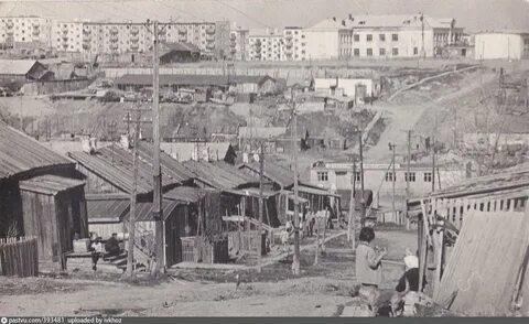Рп5 оха сахалинская