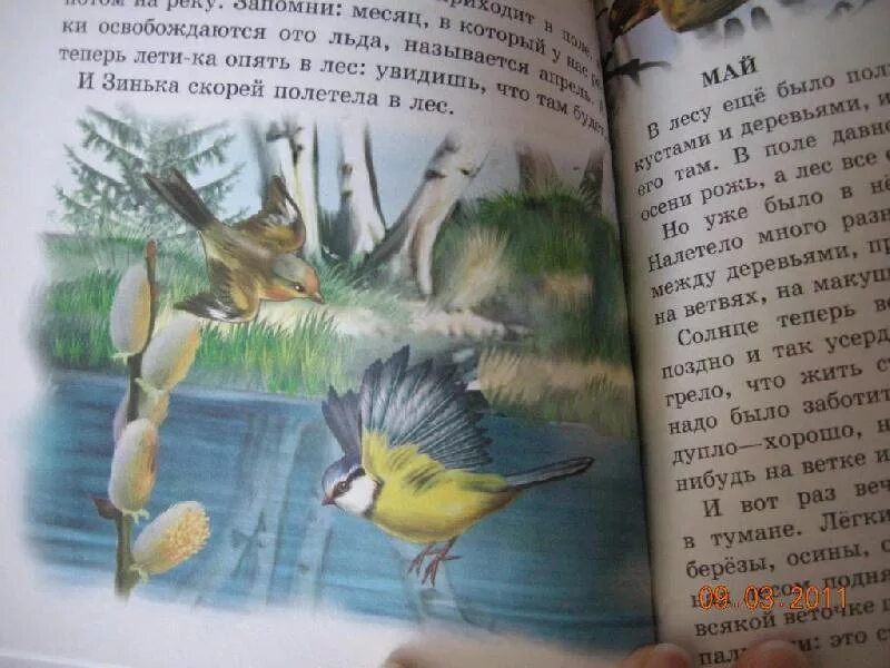 Синичкины рассказы бианки. Бианки зинька. бианки синичкин календарь книга. синичка зинька бианки. иллюстрации к книге бианки синичкин календарь.
