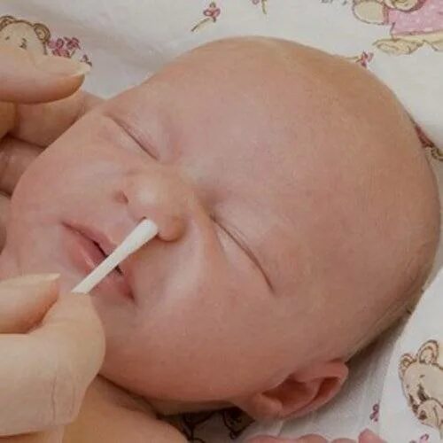 Жгутики для чистки носа новорожденного. Прочистить ребенку нос новорожденному. Прочищение носа у новорожденных. Как почистить нос новорожденному от козявок