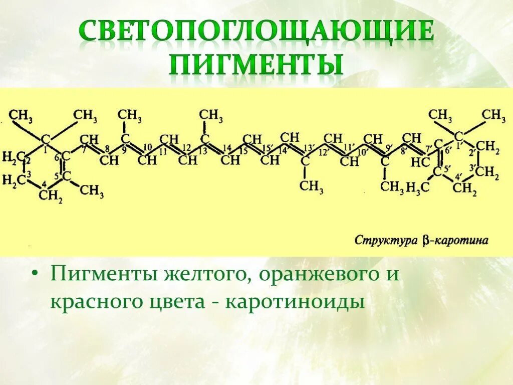 Хлорофилл каротин. Структура каротиноидов. растительные пигменты каротиноиды. пигменты растений хлорофилл каротиноиды ксантофиллы. структурная формула каротиноидов.