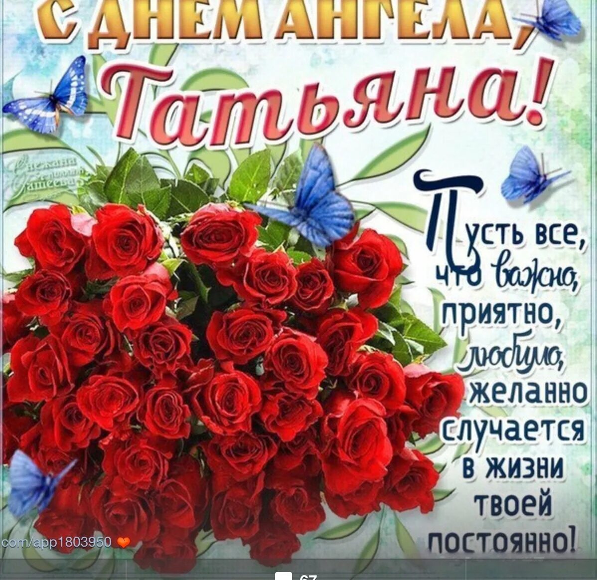 Татьян г день