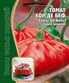 Томат кор де беф. Томат кор. Томат кор. Томаты ругантино. Сорт томата ругантино.