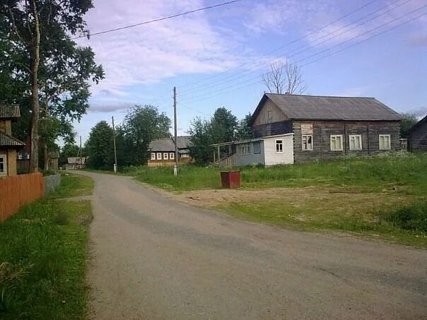 Тарасонаволоцкая устьянский. Тарасонаволоцкая. Тарасонаволоцкая устьянский. Тарасонаволоцкая устьянский архангельская. Тарасонаволоцкая устьянский архангельская.