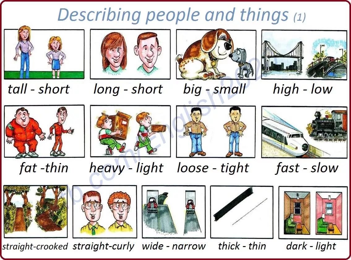 Tall short fat thin. Describing things in English. Describing people. Describe people. Adjectives describing things.