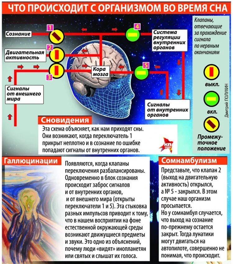 Процессы происходящие во сне. Что происходит во время сна. Что происходит во время сновидения. Что происходит с организмом во сне.