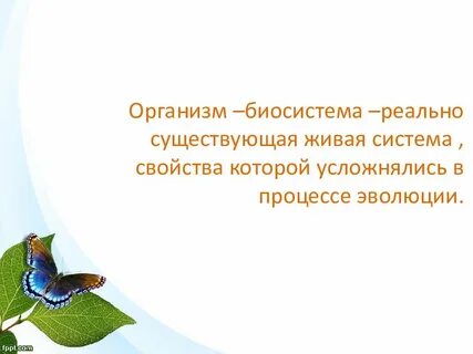 Организм открытая живая система биосистема презентация