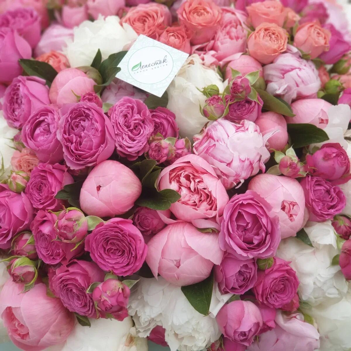 С днем рождения женщине картинка с пионами. Пионы с Мисти Баблс. Пионы и пионовидные розы. Букет пионовидных роз.