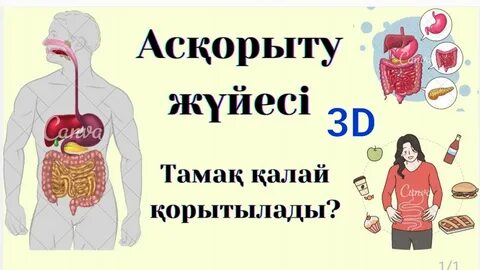 Дәретханада жыныстық қатынас және мастурбация