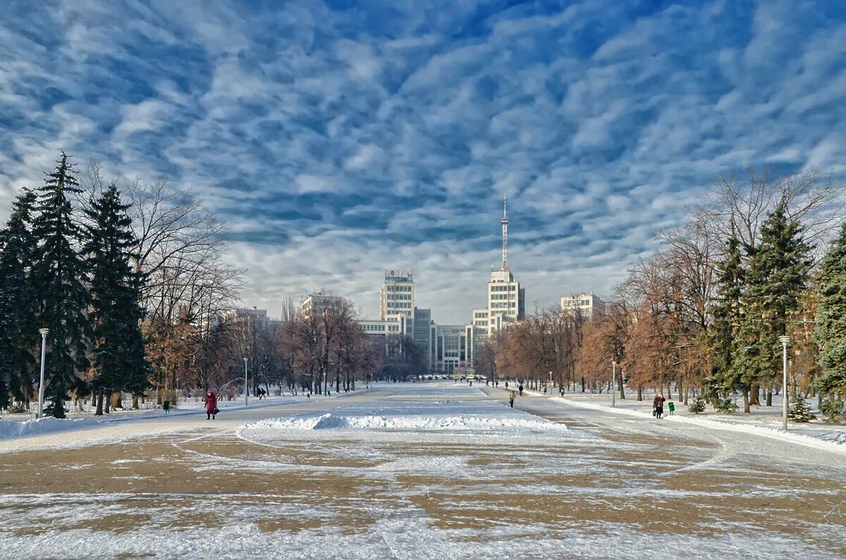 харьков южный вокзал. на улице украины зимой. харьков зимой. красивые улицы харькова зимой. харьков зимой.