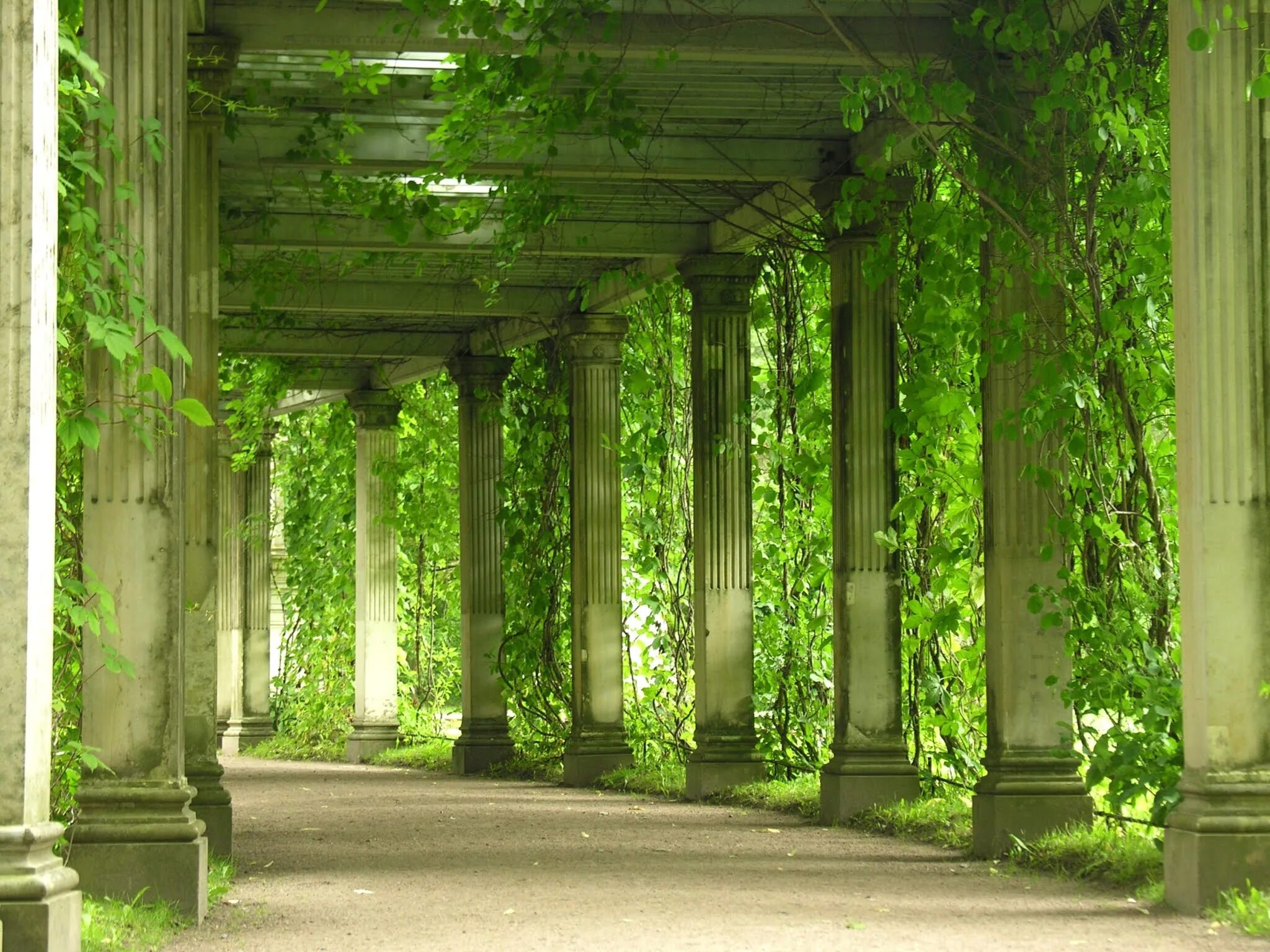 Заброшенный парк руины. Олимп, пантеон древняя греция боги. Усадьба суханово парк. Фэнтези пейзажи. Фэнтези арт арка руины.