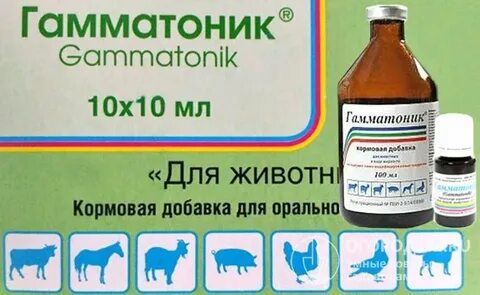 Гамматоник для цыплят инструкция по применению дозировка