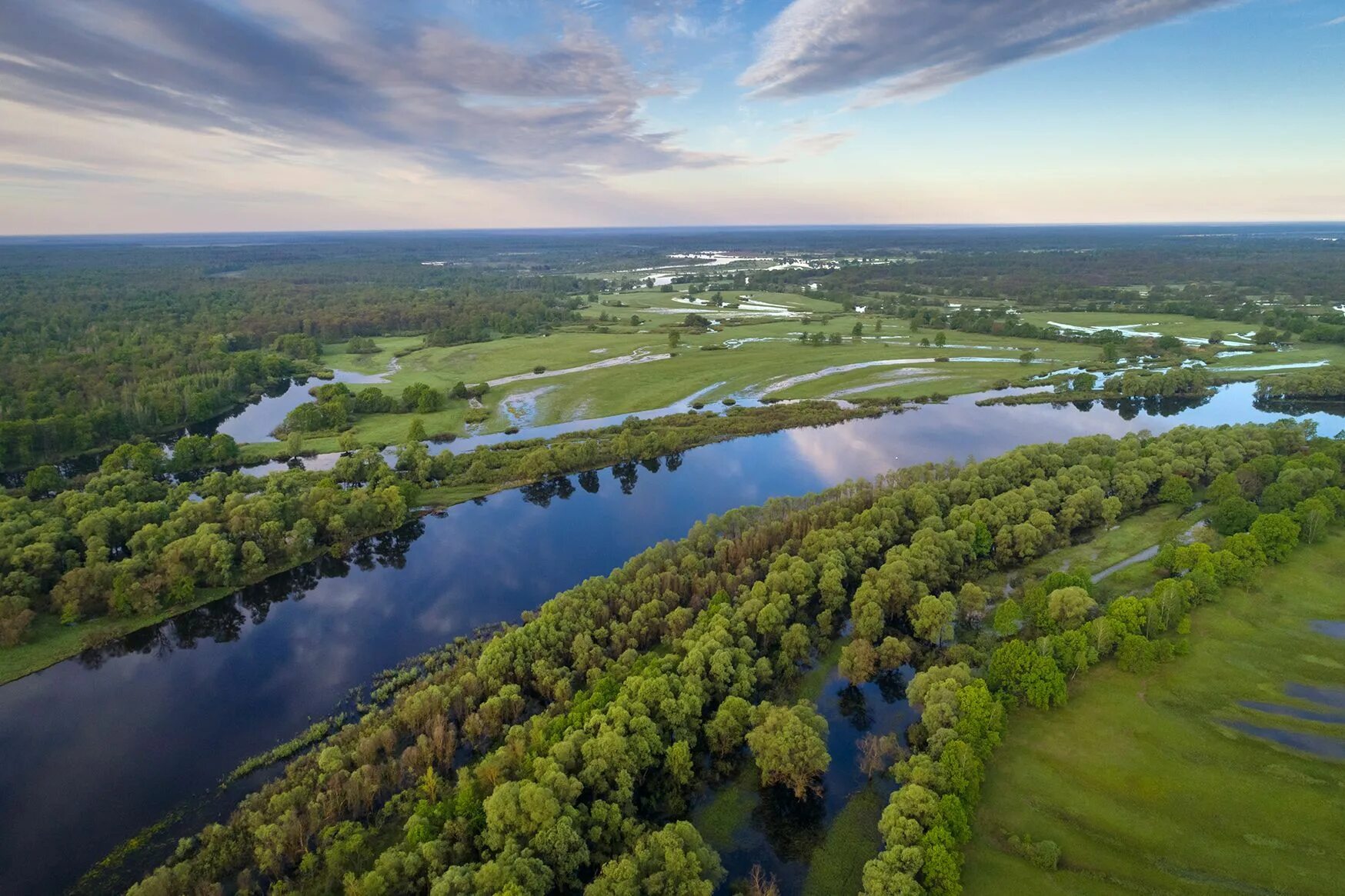 Озеро петриков. Озерах р. Река припять чернобыль. Гомельская область припять. Припять озеро.
