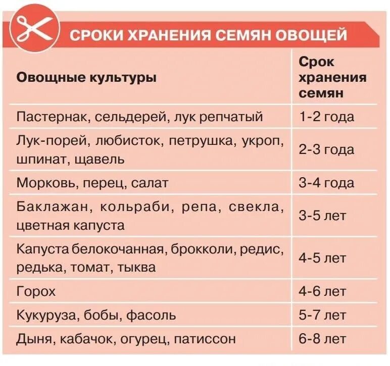 Семена сроки годности всхожести. Срок хранения овощных семян. Сроки хранения семян овощных культур. Сроки хранения семян овощей. Сроки годности семян овощных культур таблица.