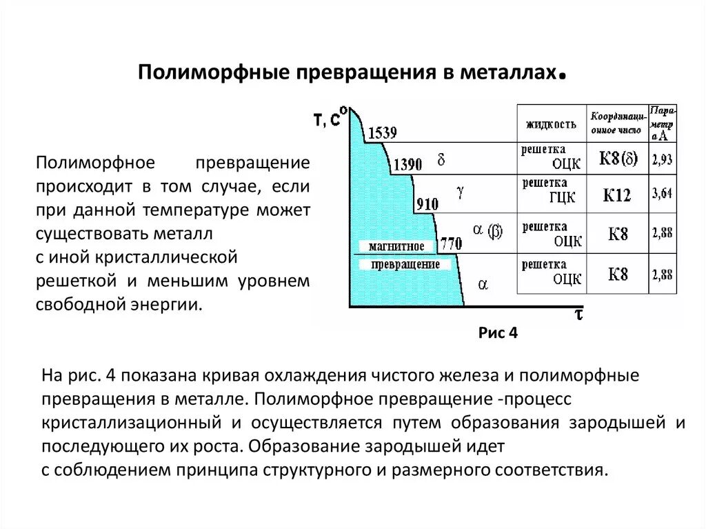 Можно ли назвать человека полиморфным