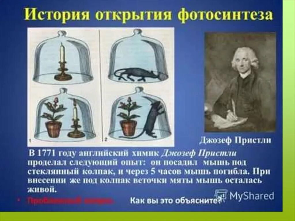 У кого с кем был опыт. Опыту английского химика джозефа пристли. опыт джозефа пристли.