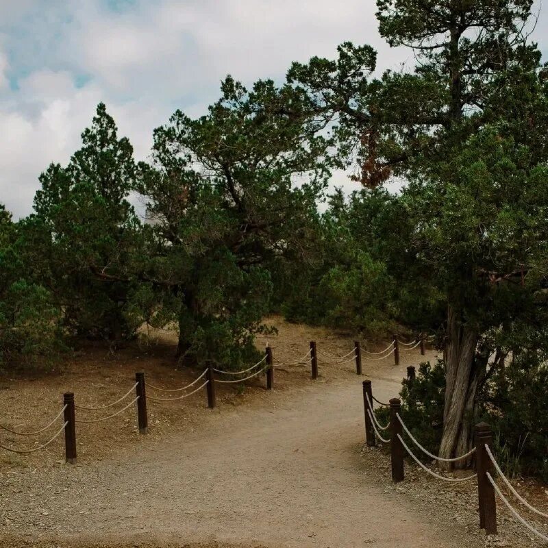 Чудо в крыму 2015. Чудо в крыму 2015. Чудо в крыму 2015. Чудо в крыму 2015. Чудо в крыму 2015.