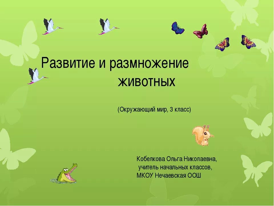 Конспект рост и развитие животных 8 класс. Размножение животных доклад 3 класс. Размножение и развитие животных 3 класс окружающий мир. Окружающий мир развитие. Развитие животных 3 класс окружающий мир.