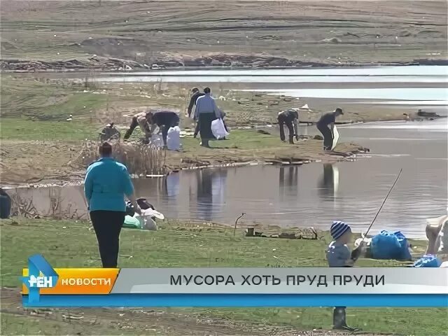 Что значит пруд пруди