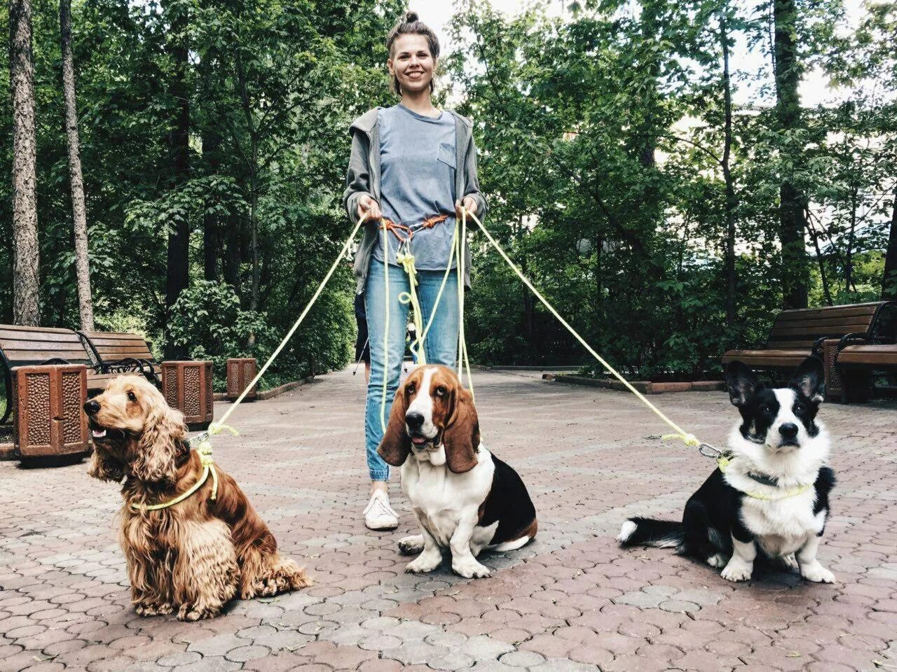 Выгул собак. Выгуливатель собак. Выгул щенка. Выгул домашних животных.