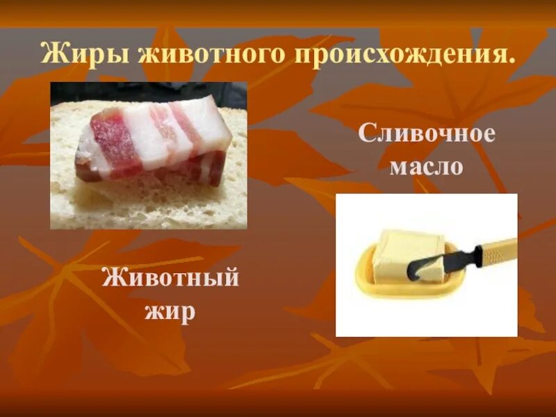 Животные жиры в продуктах. Животные жиры состоят из. 5 животных жиров. Животные жиры и растительные жиры. Животные жиры.