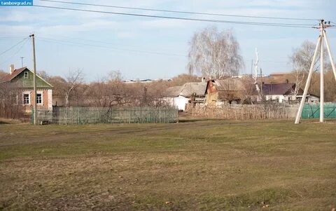 Погода масловский