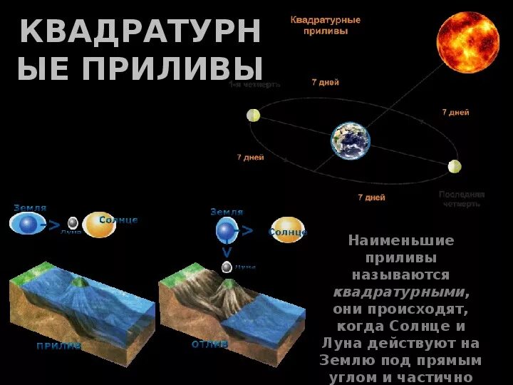 Приливы океанов причина. Механизм явления приливов и отливов на земле. Схема приливов и отливов на земле. Приливы и отливы схема. Приливы и отливы влияние Луны.