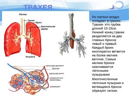 Воздух поступает