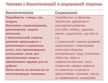 Человек как результат биологической и социальной