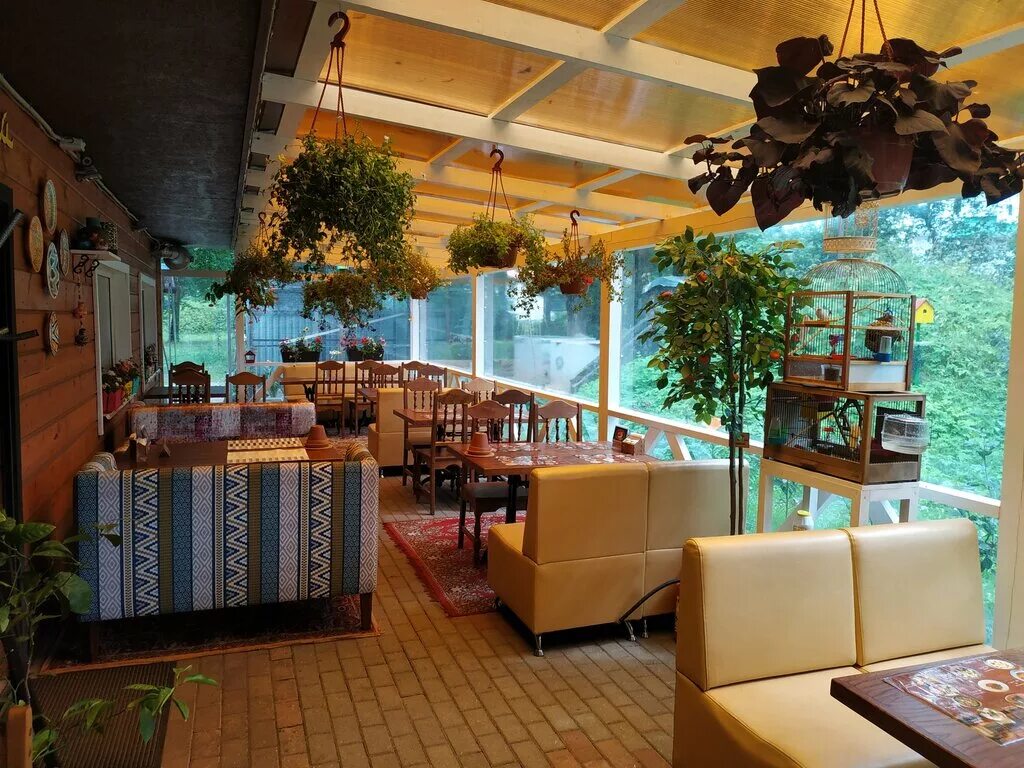 чайхана сказка великий новгород. чайхона олимпийский проспект 14. чайхона алтуфьевское шоссе 24. чайхана псков. кафе чайхона новосибирске.