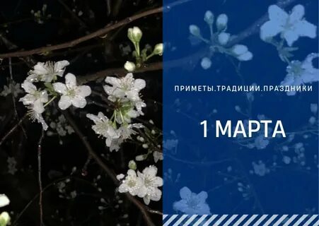 Приметы на сегодня 1 апреля