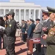 Скиф кру нальчик