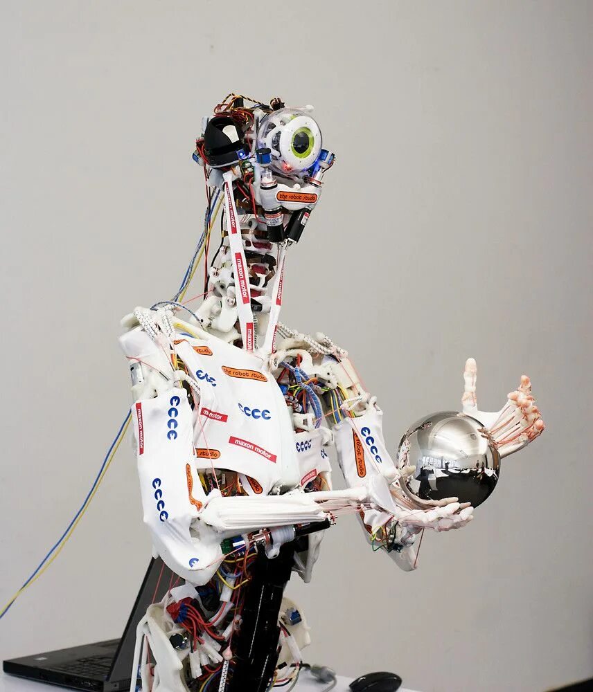 Real robot