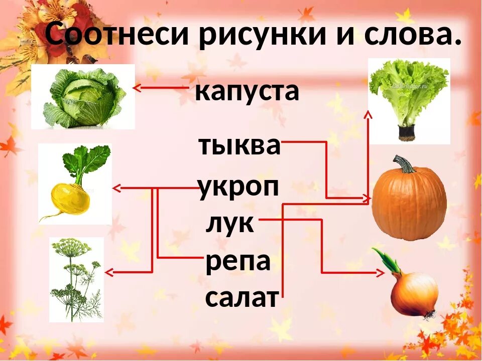 Текст про тыкву впр 4 класс. Соотнести слово с картинкой. Соотнеси слово с картинкой. Соотнеси текст и картинку. Соотнеси слово и картинку 1 класс.