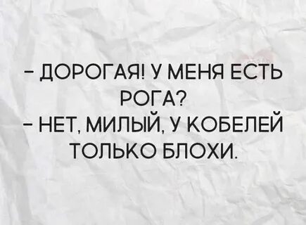 Ешь рог
