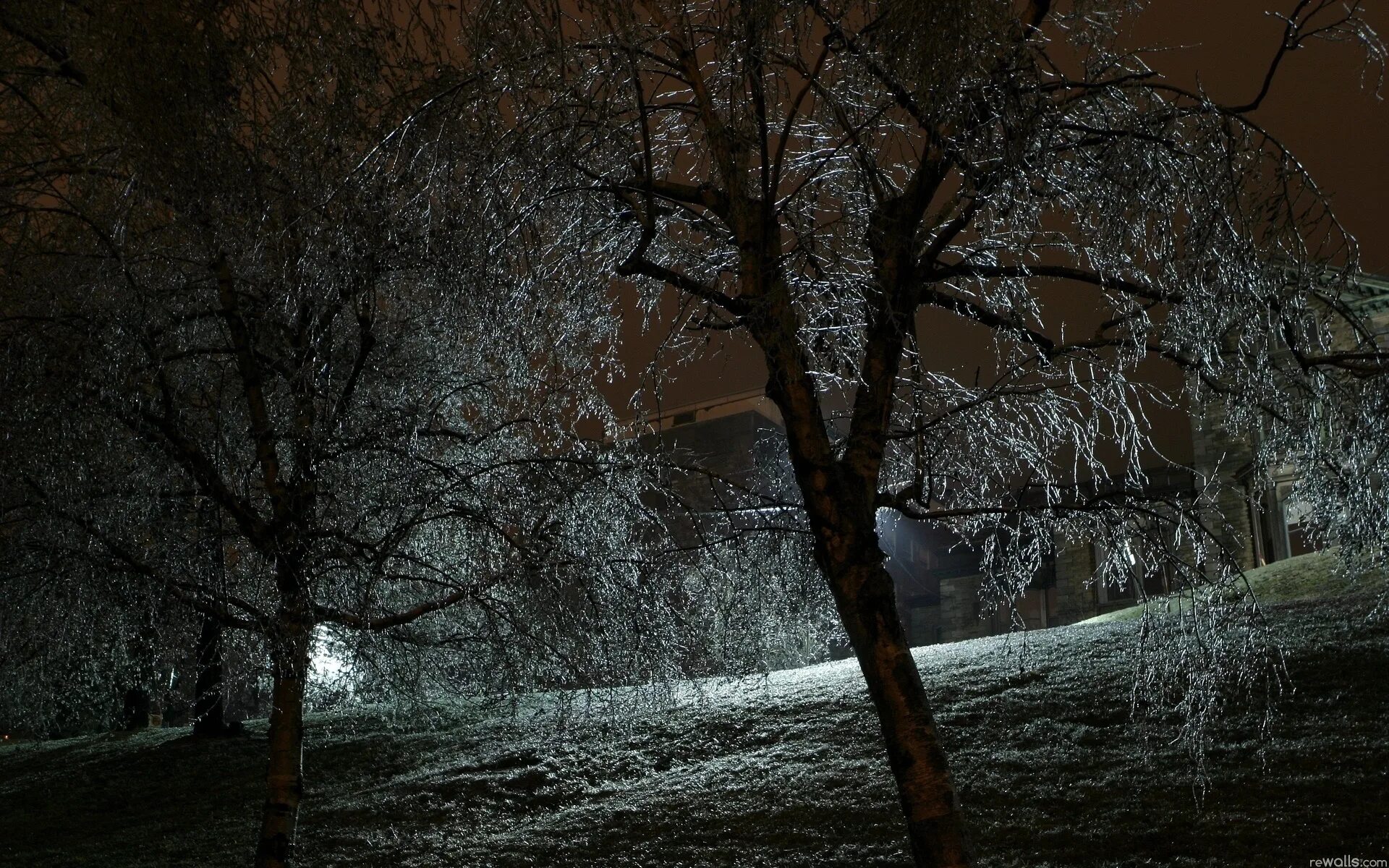 Поздняя осень. Поздняя осень ночь. Поздняя осень вечер. Деревья в инее ночью. Поздним вечером поздней весной