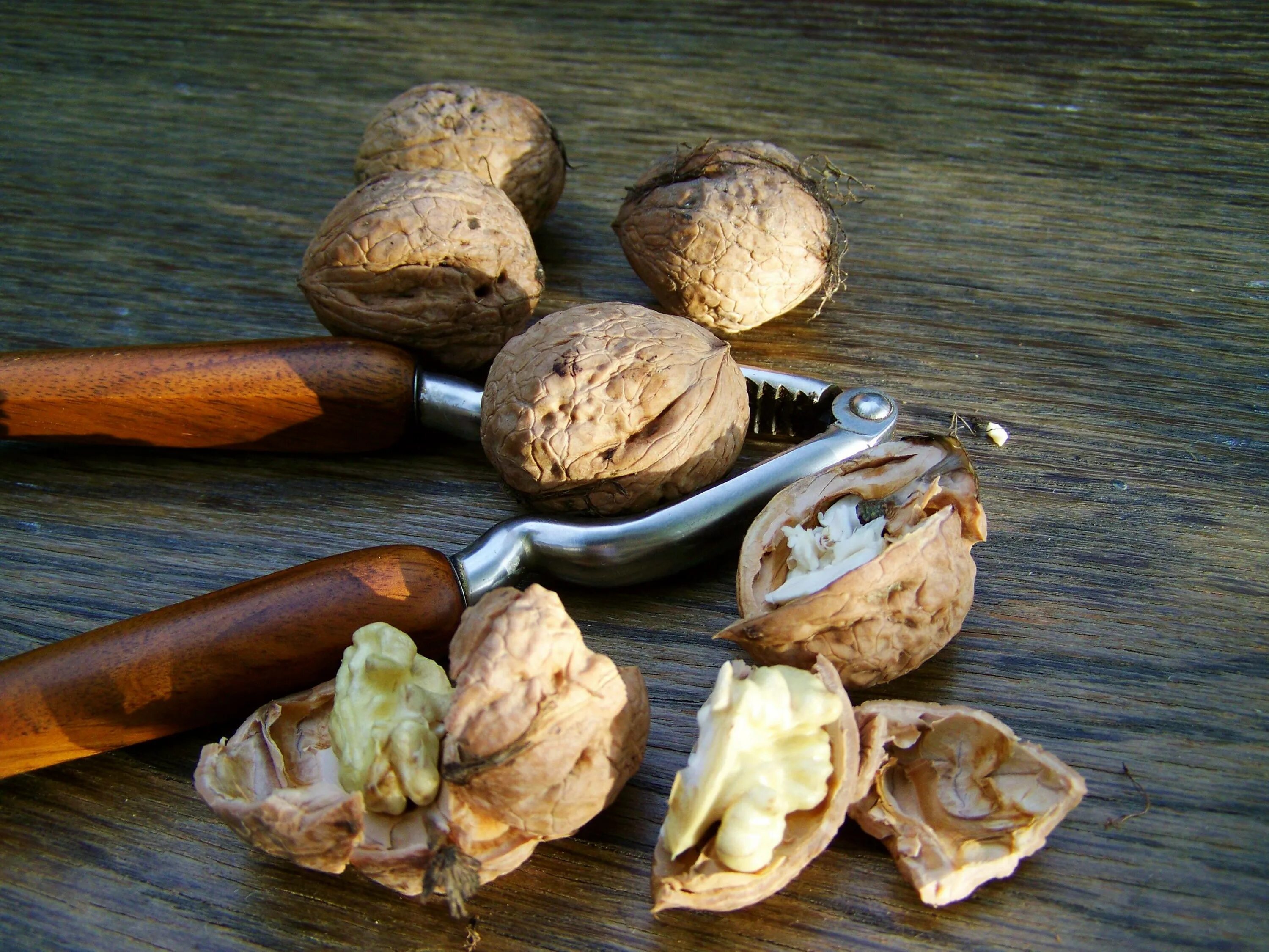 Цедра ореха. Орех грецкий. Walnuts орехи. Расколотый орех. Орех раскалывается.