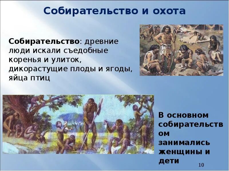 Древние люди определение. Собирательство древних людей. древние люди собирательство. древние люди охота и собирательство. основное занятие древних людей собирательство и охота.