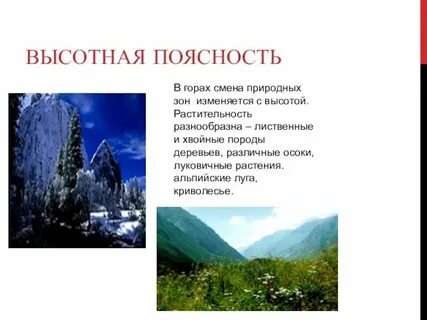Высотная поясность животные и растения
