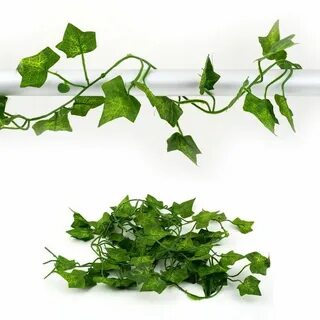 Гель плюща
