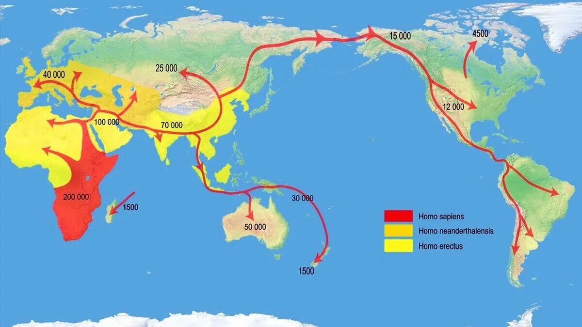 Расселение древних людей. Карта заселения земли человеком. Расселение человека. Расселение человека разумного. Расселение людей по земному шару.