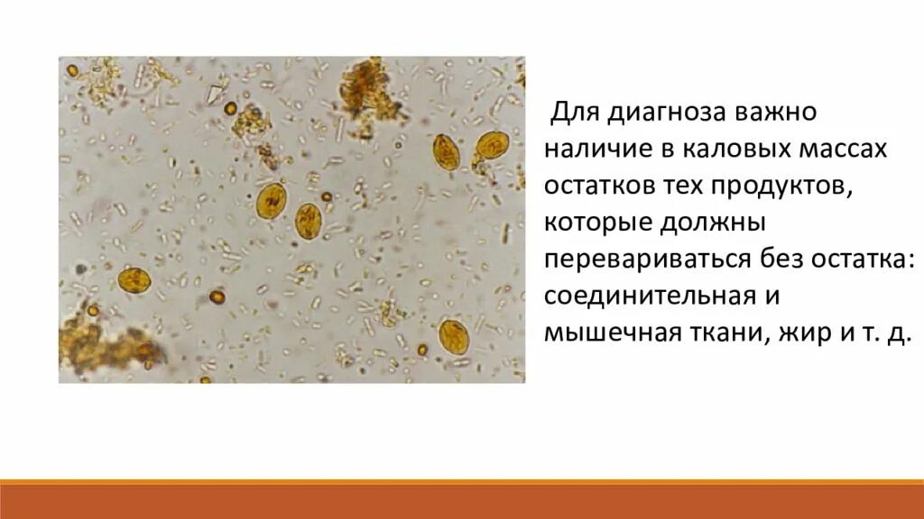 Споры в кале у взрослого. Атлас микроскопия кала яйца глистов. Копрология кала микроскопия. Микроскопия кала атлас копрология. Лямблии микроскопия кала.