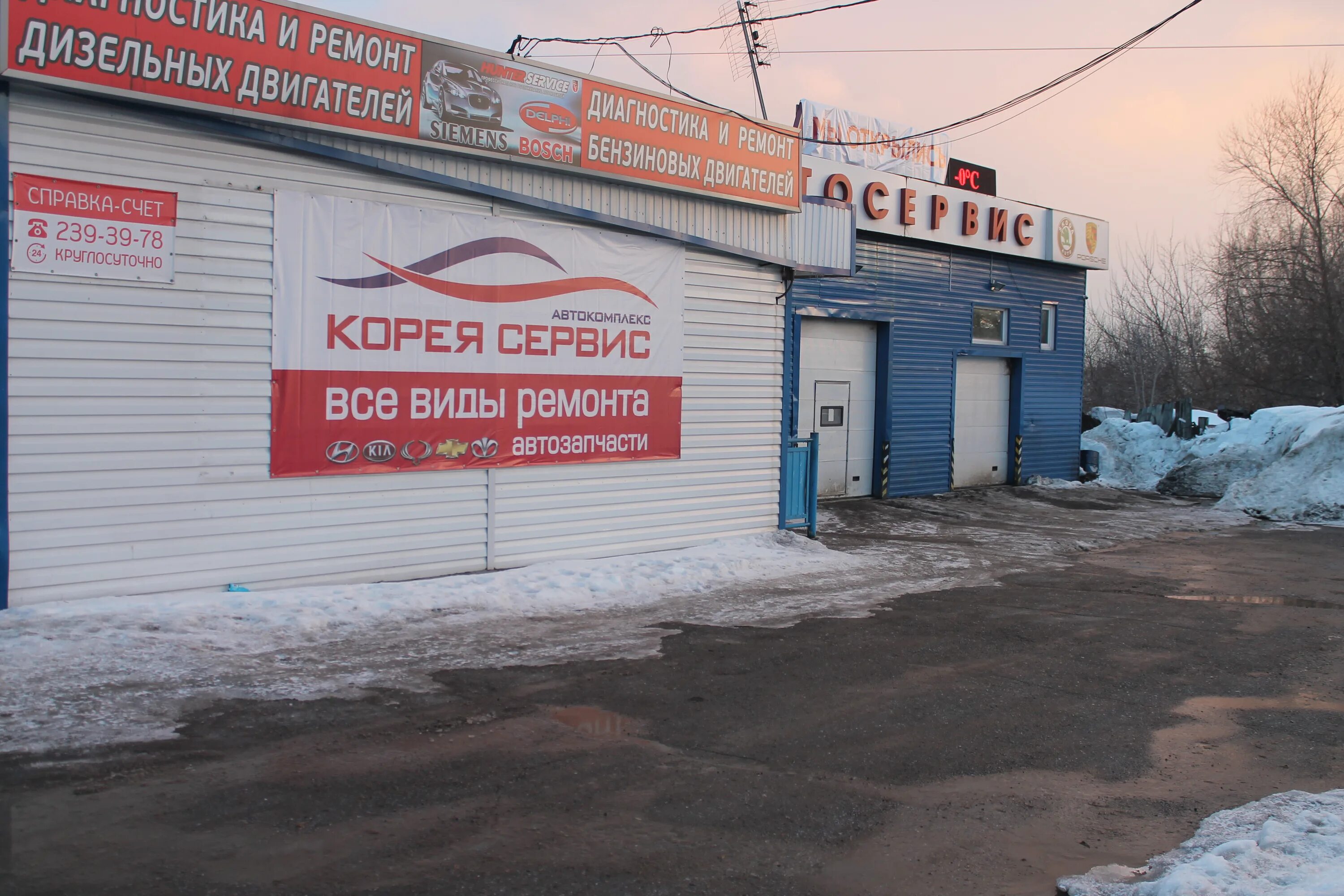 сто корейцев