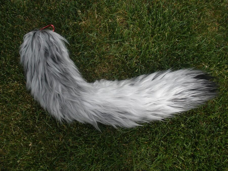 Tail like