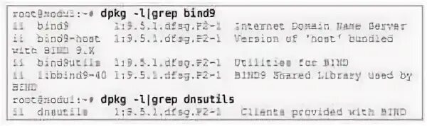Db bind