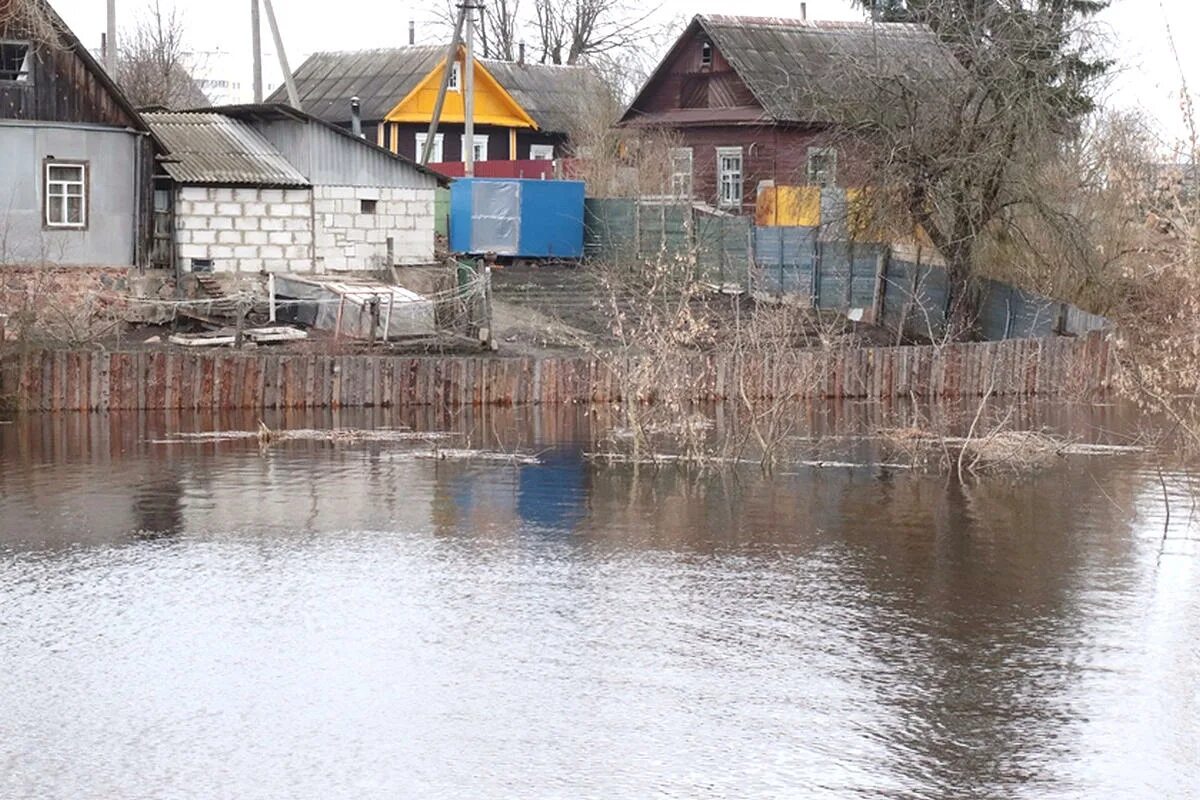 Река Западная Двина в Полоцке Беларусь. Река Двина Верхнедвинск. Паводок в Верхнедвинске. Уровень воды. Вода в западной двине