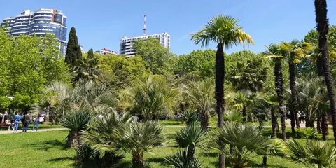 Сочи летом видео