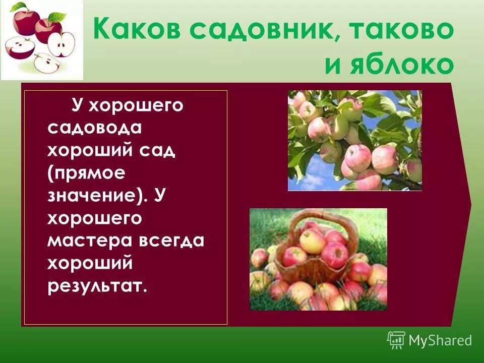 Каков садовник таков и сад. Каков садовник таков и сад