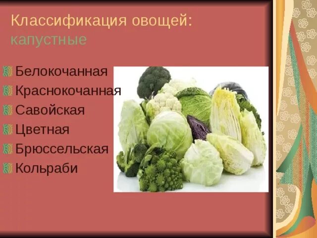 Овощи классификация овощей. Капустные овощи. Капустные классификация. Классификация овощей-капустные овощи.